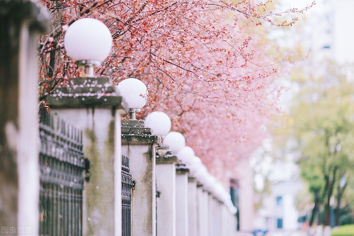 孩子说谎、打同学、乱花钱？春分自然界3大美德，别让孩子错过啦