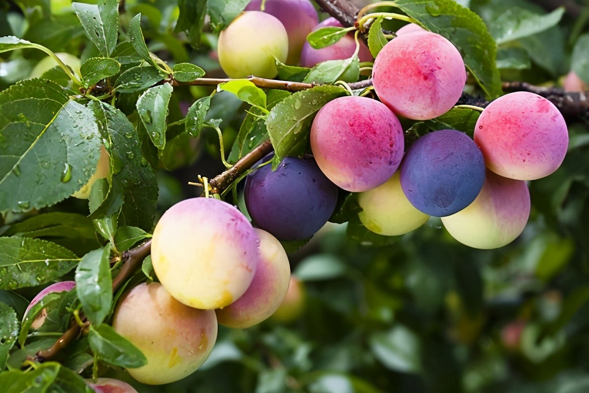 春天应该怎么吃,才能让身体更好,增加抵抗力