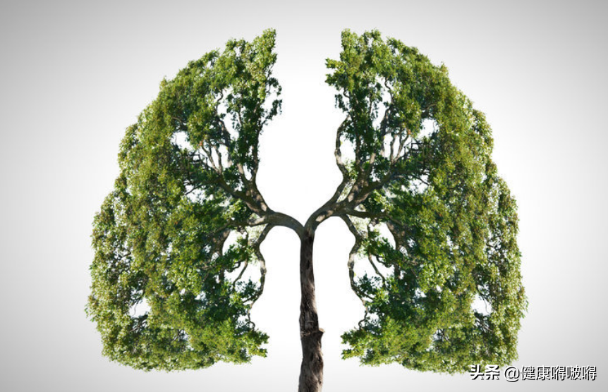 男人,40岁后,对抗衰老,远离二物,坚持三养,做好四件事