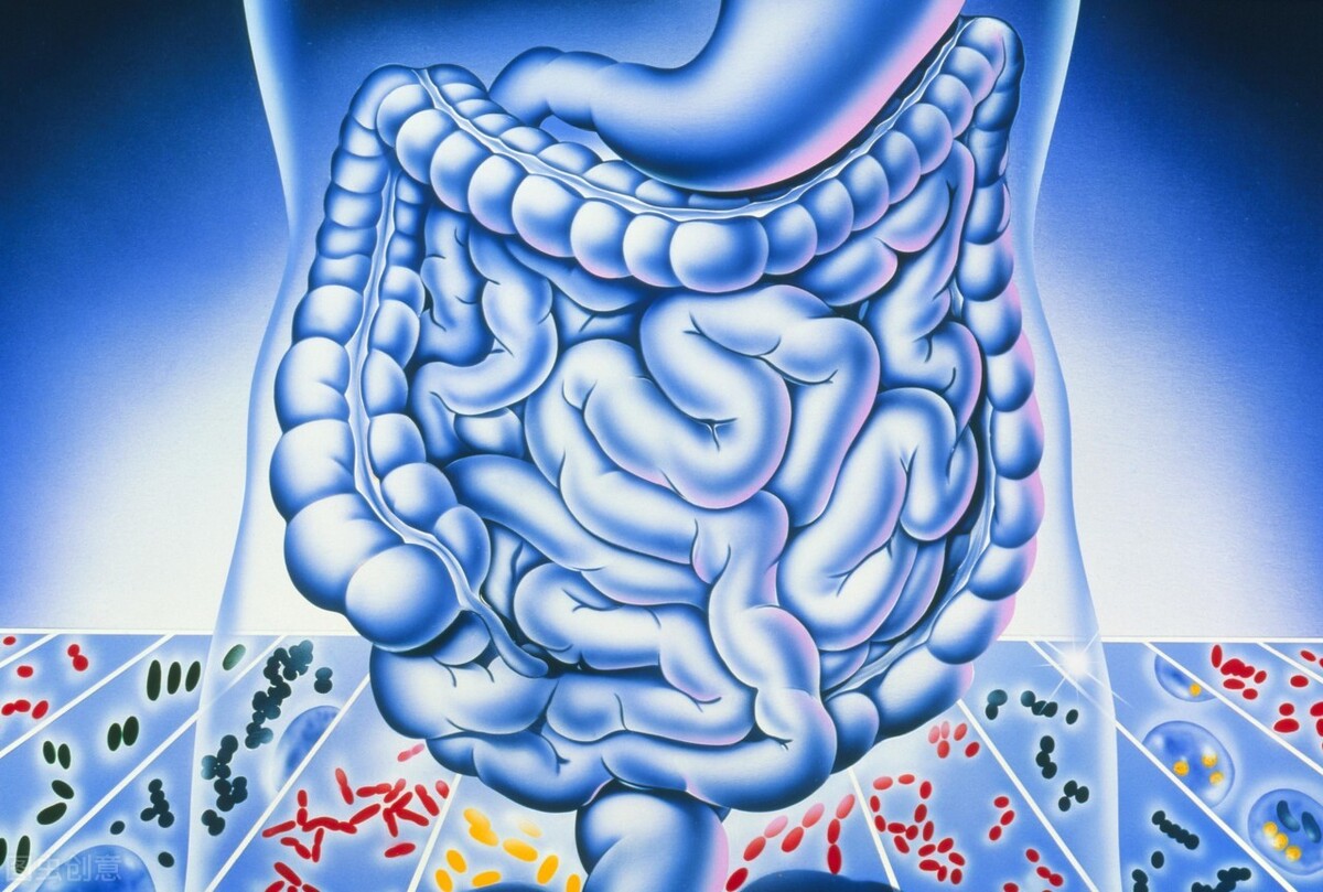 哪些人容易被结肠炎“盯上”?生活中出现这些症状就要警惕啦
