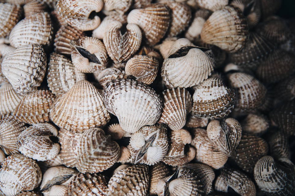 建议:中老年人多吃这些食物,营养高,对身体好,价格也亲民