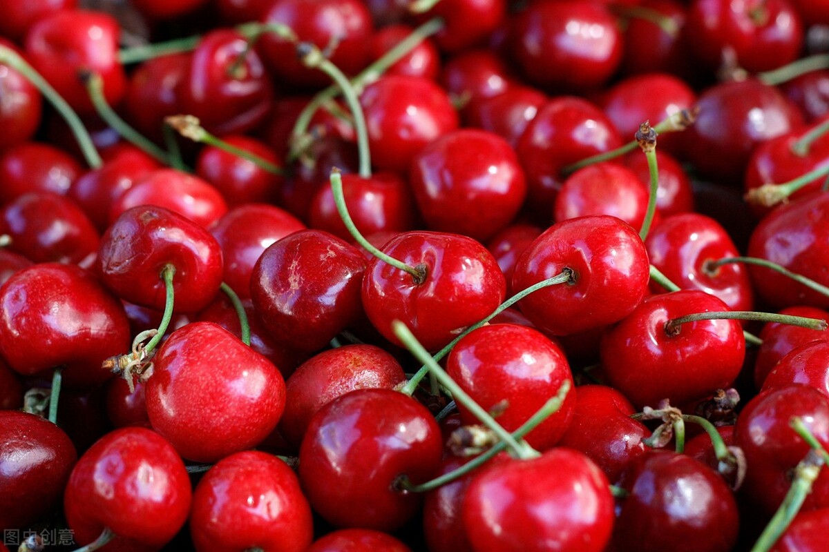 养生达人是吃什么祛湿的?原来他们常吃这几样,湿气见了躲着走