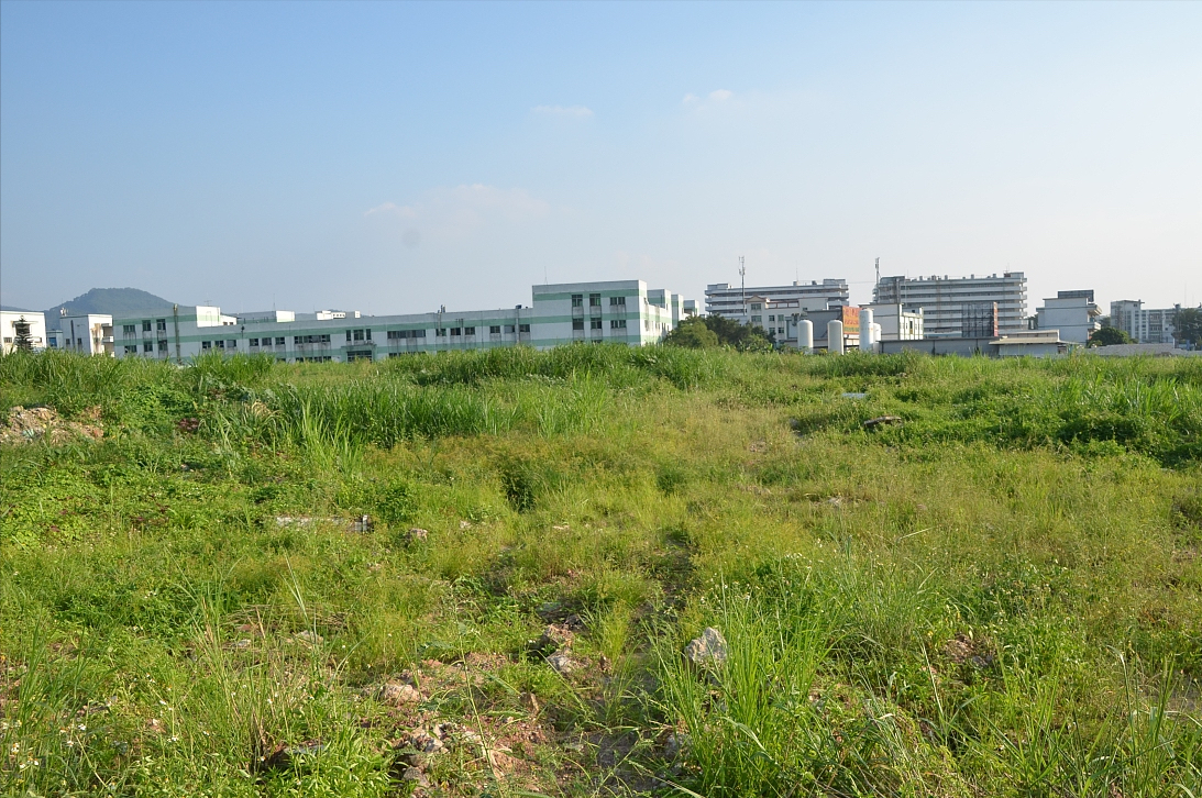 高房价七寸被击中?今年起,楼市迎来3大新规,打算买房的该了解