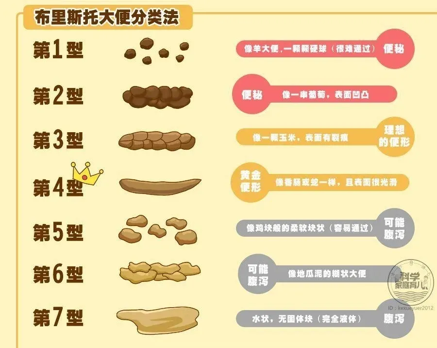 关于便秘,你需要知道的7件小事