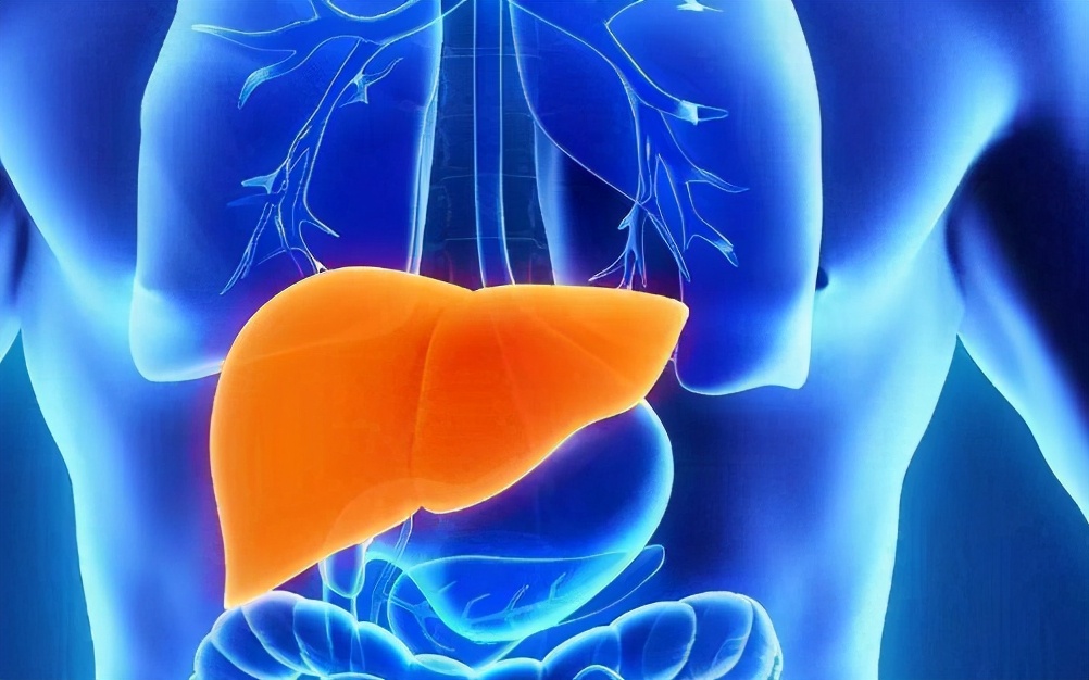 102岁老人,血管年龄60岁,血管年轻阻断高血脂,是3习惯