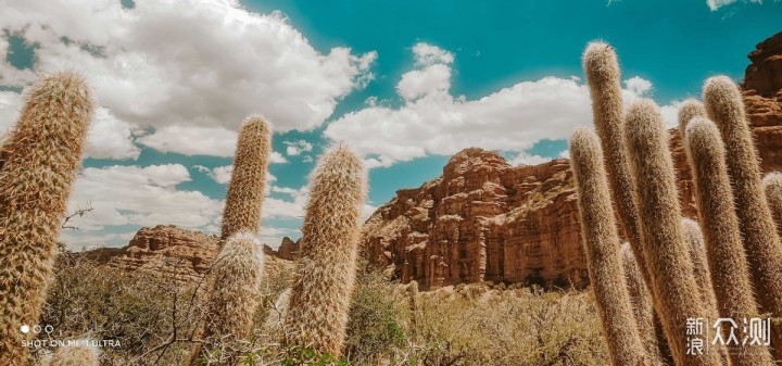 六个场景样张,聊聊小米11 Ultra影像加减法_新浪众测