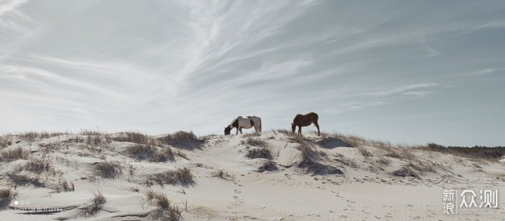 六个场景样张,聊聊小米11 Ultra影像加减法_新浪众测