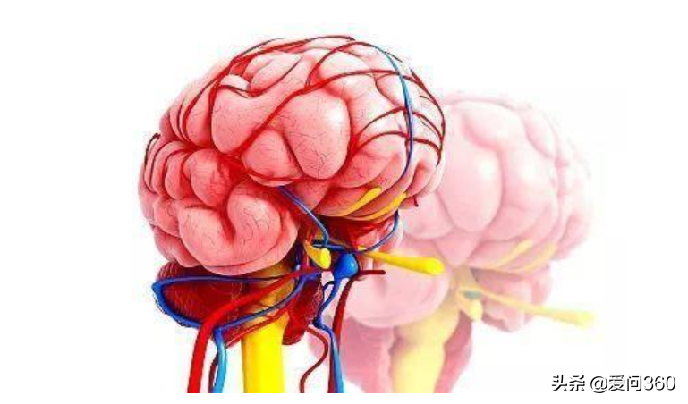 四个原因能导致大脑衰退,6个方法可以减缓老年痴呆的几率