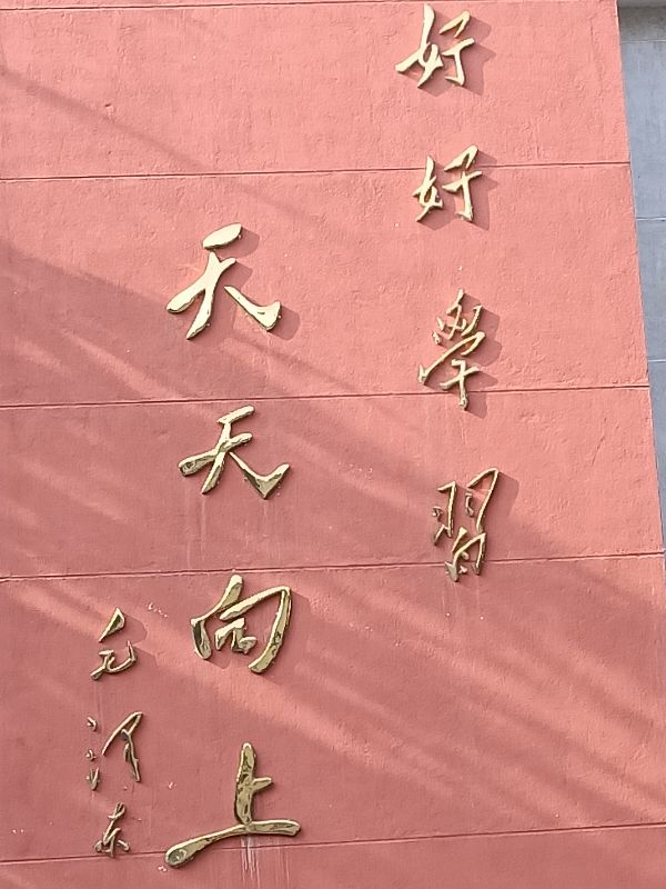 教育变革进行时:这些措施能落实到位吗?