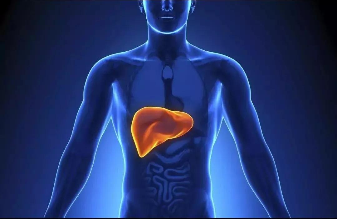 失眠烦恼多,为何失眠与肝有关?如何依靠中医知识养肝改善睡眠?