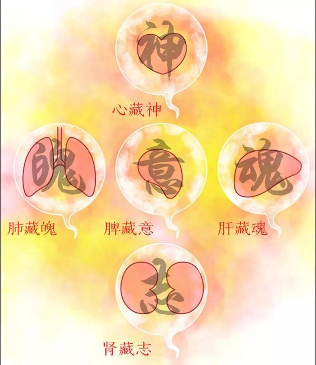 失眠烦恼多,为何失眠与肝有关?如何依靠中医知识养肝改善睡眠?