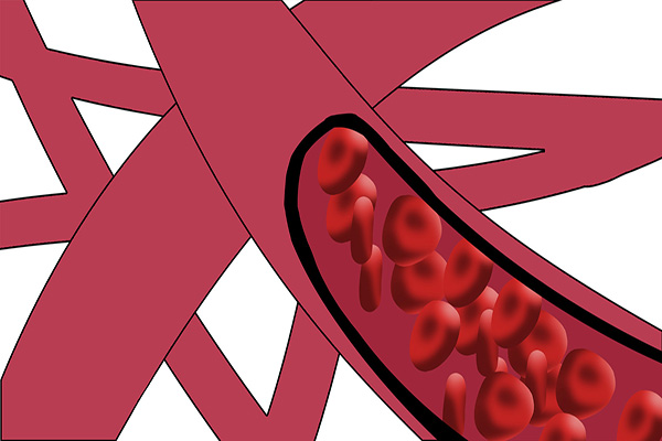 健康长寿是养出来的!男人这6个部位保护好,疾病不来扰
