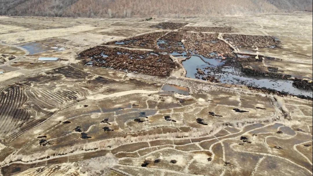 触目惊心!黑龙江五常黑土地遭遇采矿式盗挖!
