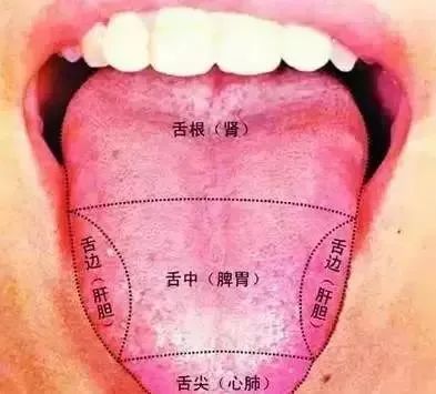 火在肝里失眠,火在胃里口臭,火在心里口舌生疮...