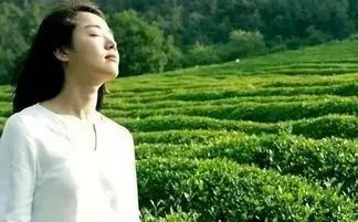 火在肝里失眠,火在胃里口臭,火在心里口舌生疮...