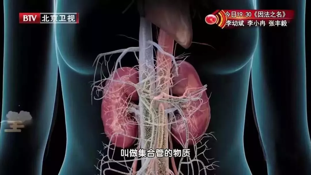 多喝水,到底是养肾还是伤肾?专家表示:不同阶段,讲究的也不同