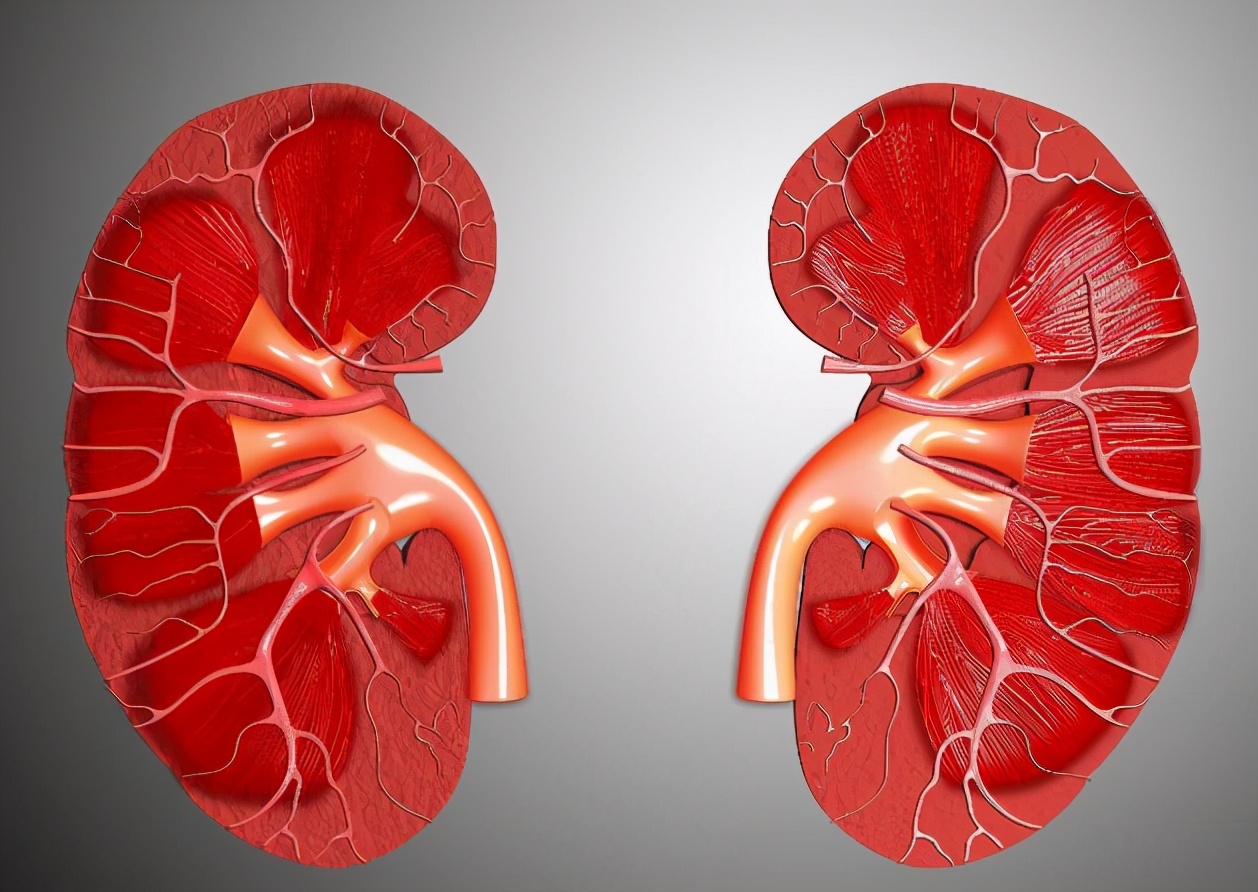 不论男女,过了55岁,若没这几种情况,或是长寿体质