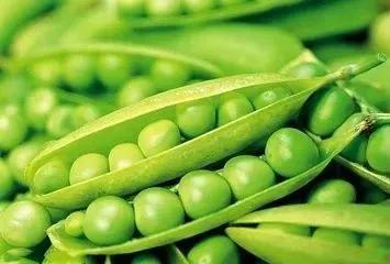 注意!这5种食物是“失眠帮凶”~但这3种是“助眠高手”,睡不好的不妨多吃